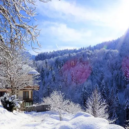 Hotel-gasthof Mauthaeusl 2*