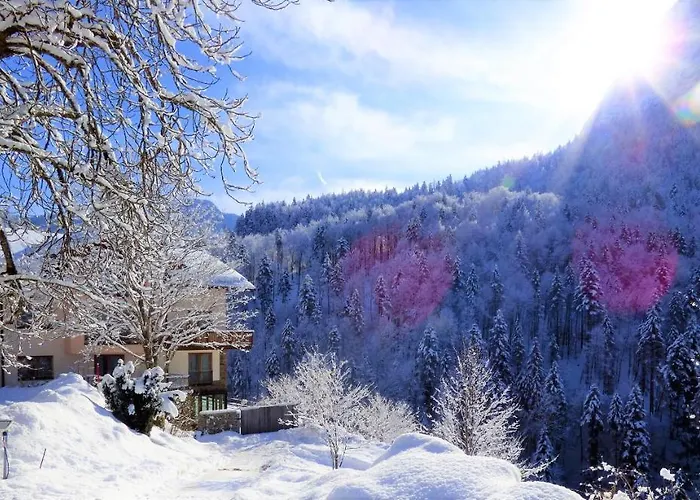 Hotel-gasthof Mauthaeusl 2*