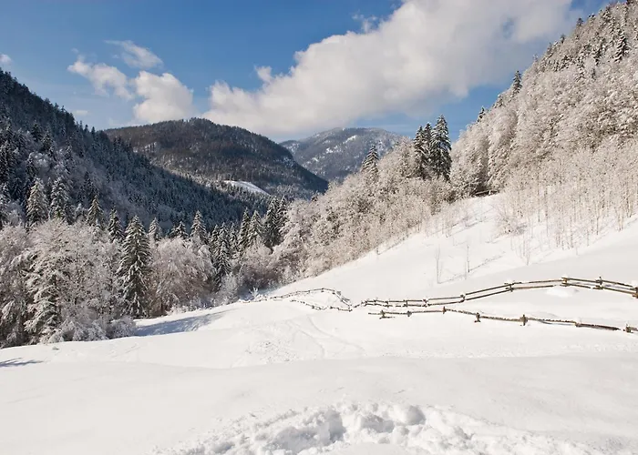 Отель Hotel-gasthof Mauthaeusl 2*