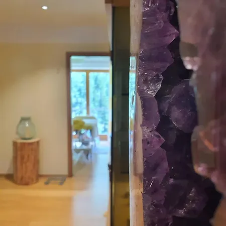 Biohotel-regenerationszentrum Mauthaeusl Hotel Schneizlreuth