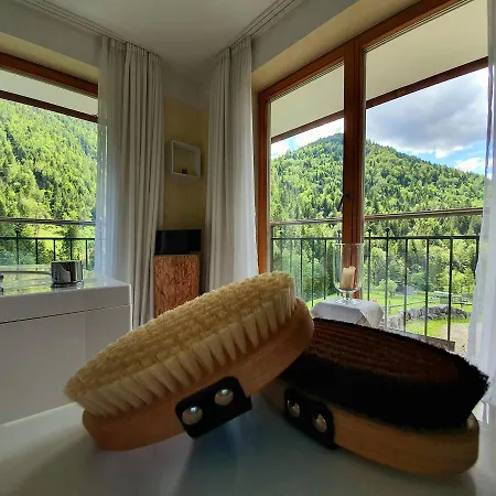 Biohotel-regenerationszentrum Mauthaeusl Hotel Schneizlreuth