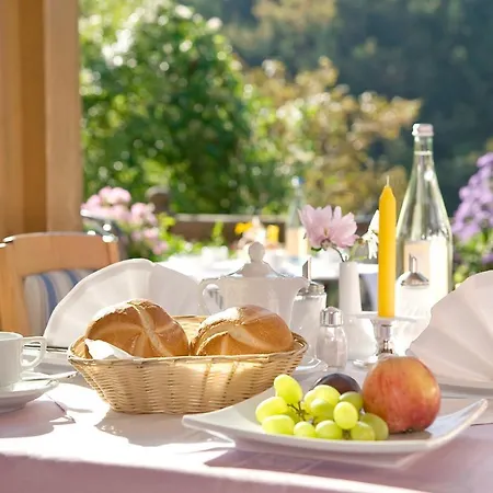 Hotel-gasthof Mauthaeusl Hotel Schneizlreuth
